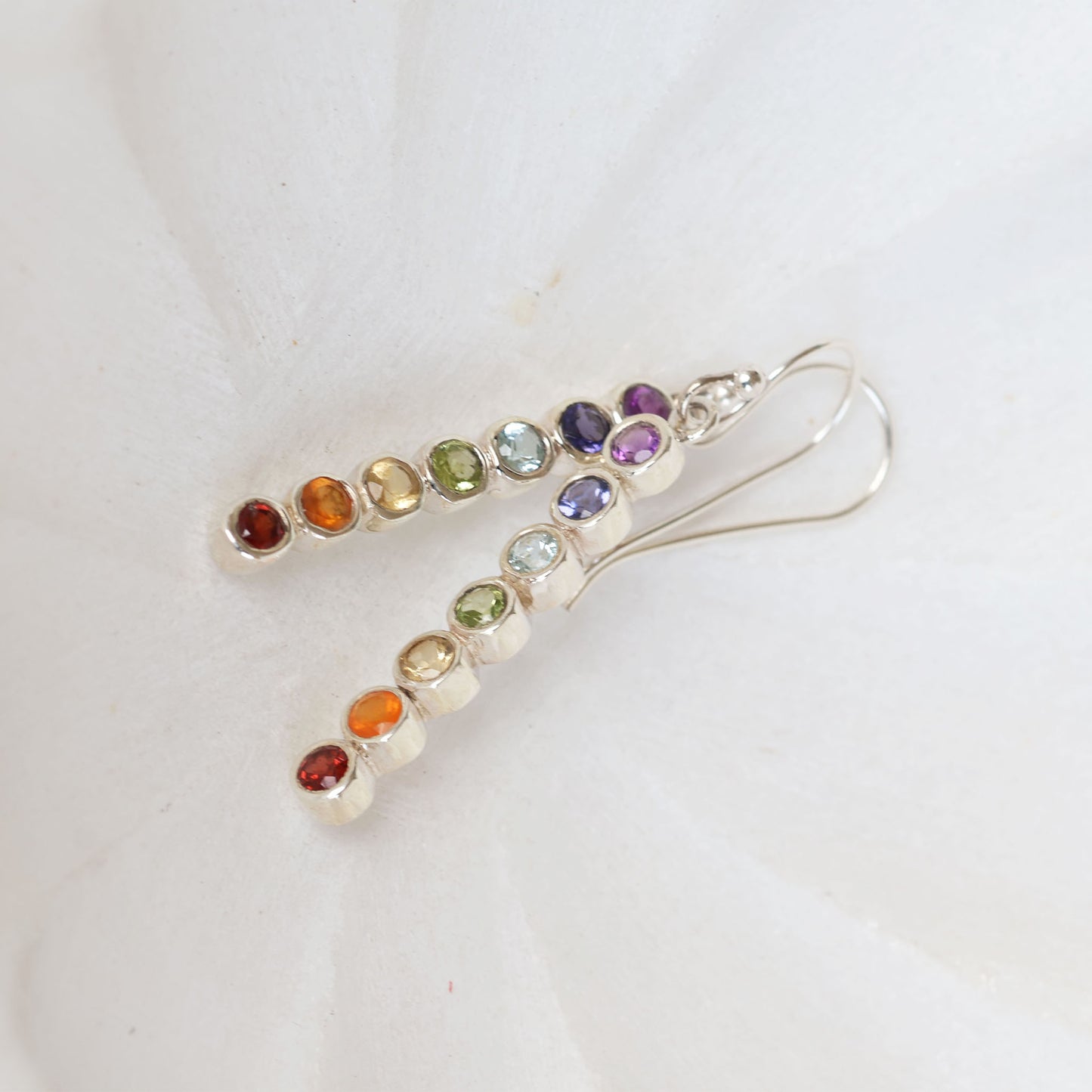 Multicolor Hook Earring